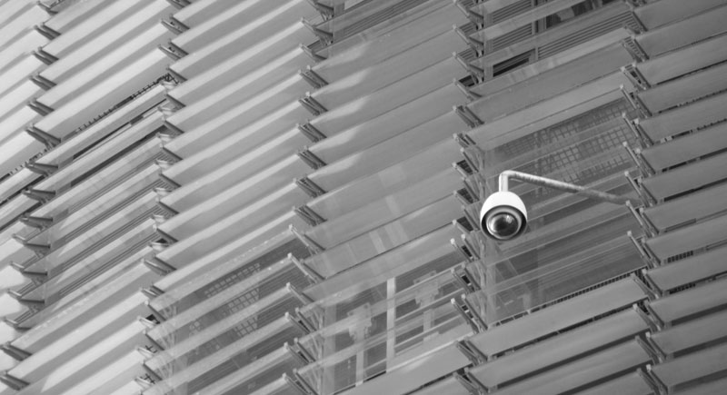 You are currently viewing Aenean fermentum