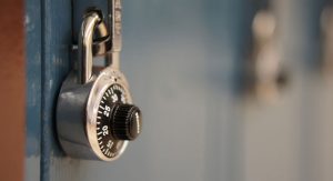 Read more about the article Vestibulum erat wisi